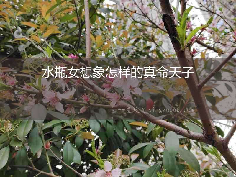 水瓶女想象怎樣的真命天子