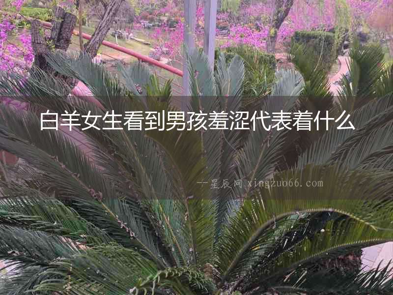 白羊女生看到男孩羞澀代表著什么