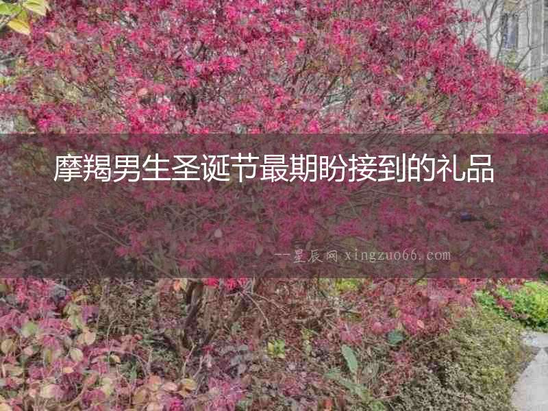 摩羯男生圣誕節最期盼接到的禮品
