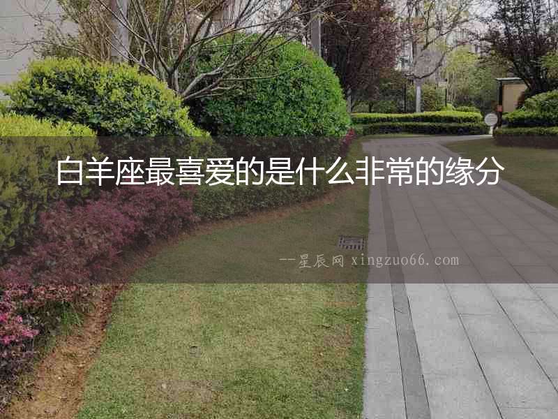 白羊座最喜愛(ài)的是什么非常的緣分