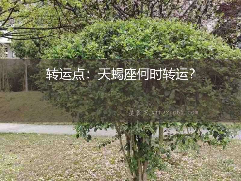 轉運點：天蝎座何時轉運？