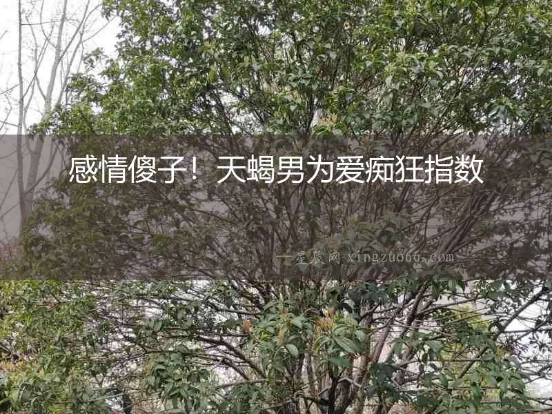 感情傻子！天蝎男為愛癡狂指數