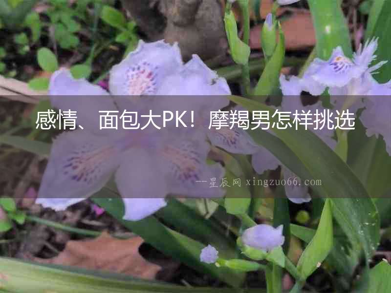 感情、面包大PK！摩羯男怎樣挑選