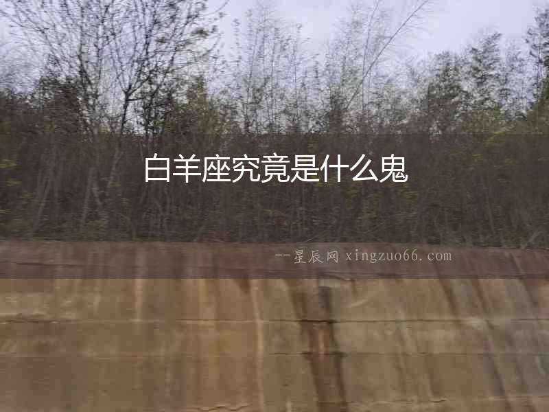 白羊座究竟是什么鬼