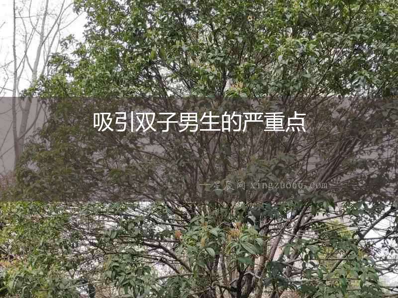 吸引雙子男生的嚴(yán)重點