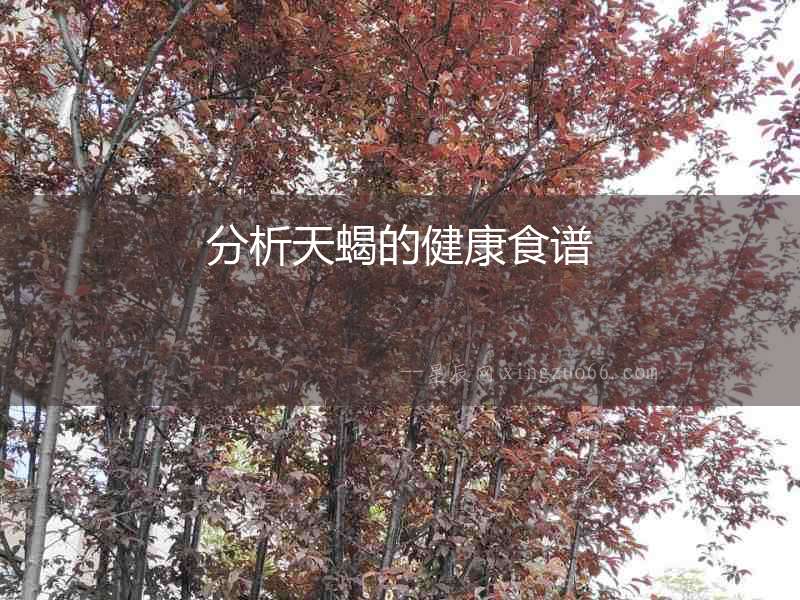 分析天蝎的健康食譜