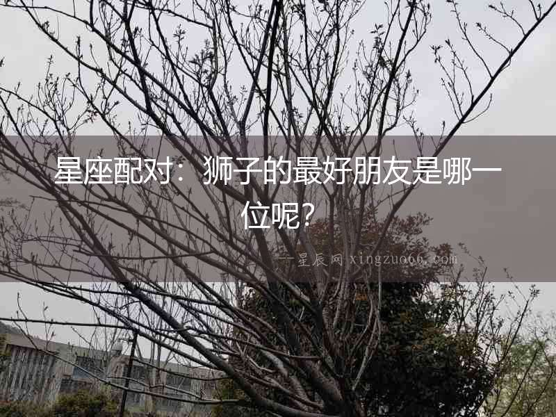 星座配對：獅子的最好朋友是哪一位呢？