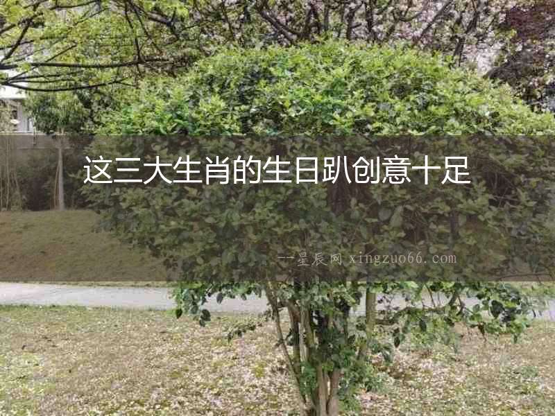 這三大生肖的生日趴創意十足