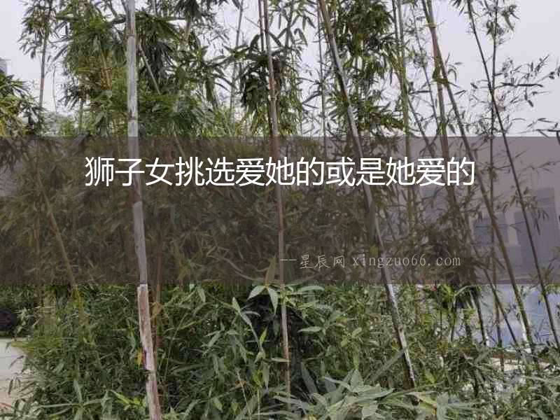 獅子女挑選愛她的或是她愛的