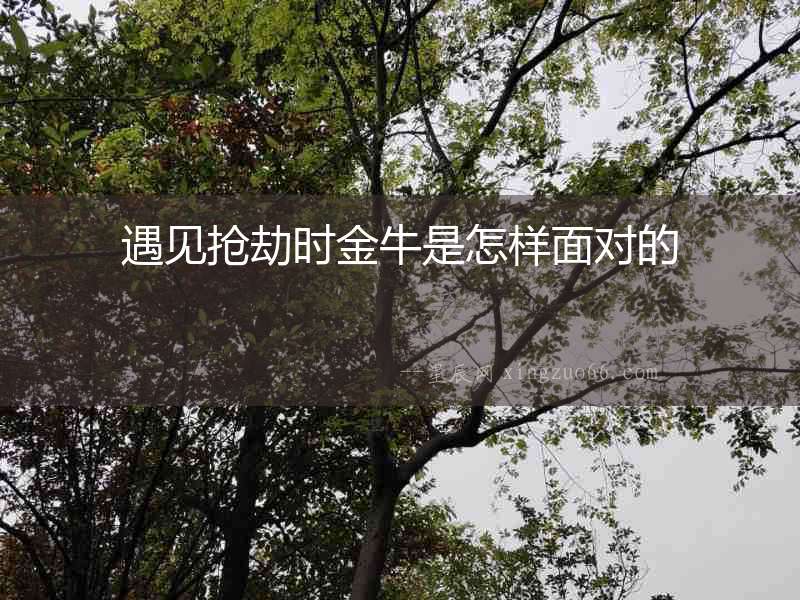 遇見(jiàn)搶劫時(shí)金牛是怎樣面對(duì)的