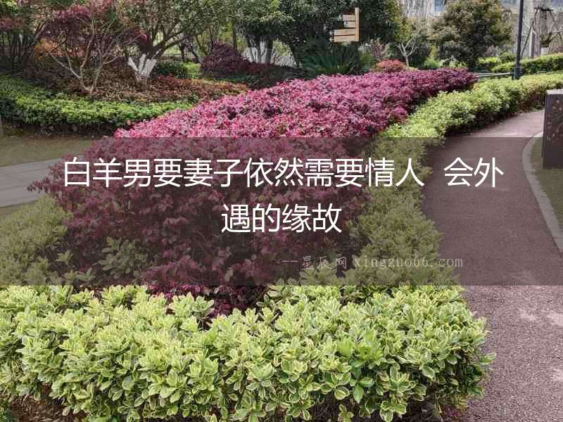 白羊男要妻子依然需要情人  會外遇的緣故
