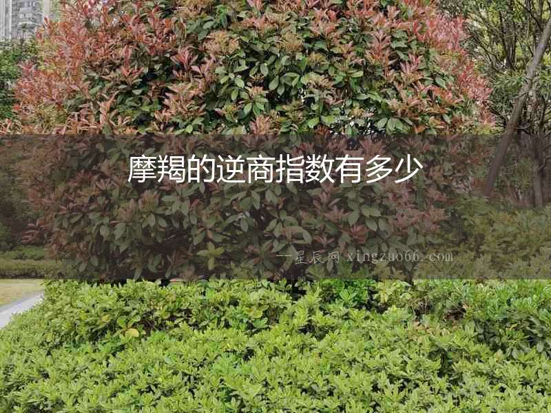摩羯的逆商指數(shù)有多少
