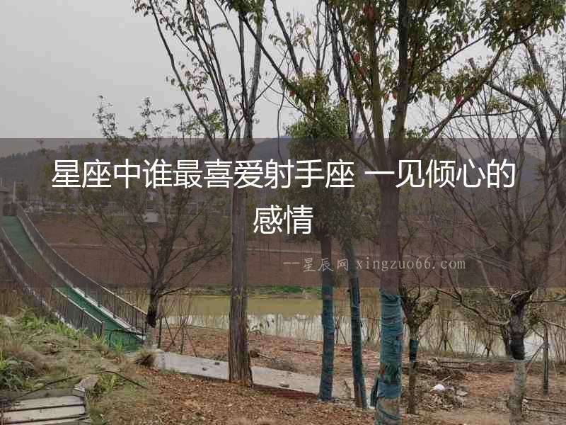 星座中誰(shuí)最喜愛射手座 一見傾心的感情
