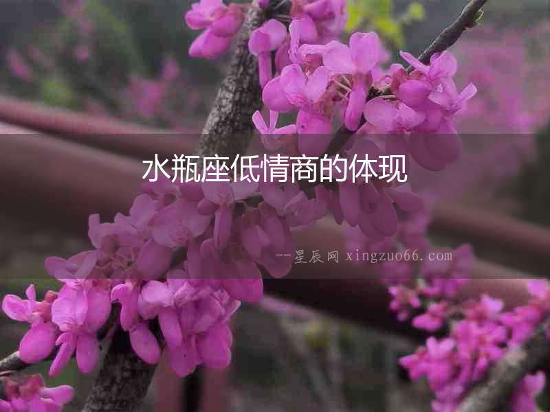 水瓶座低情商的體現