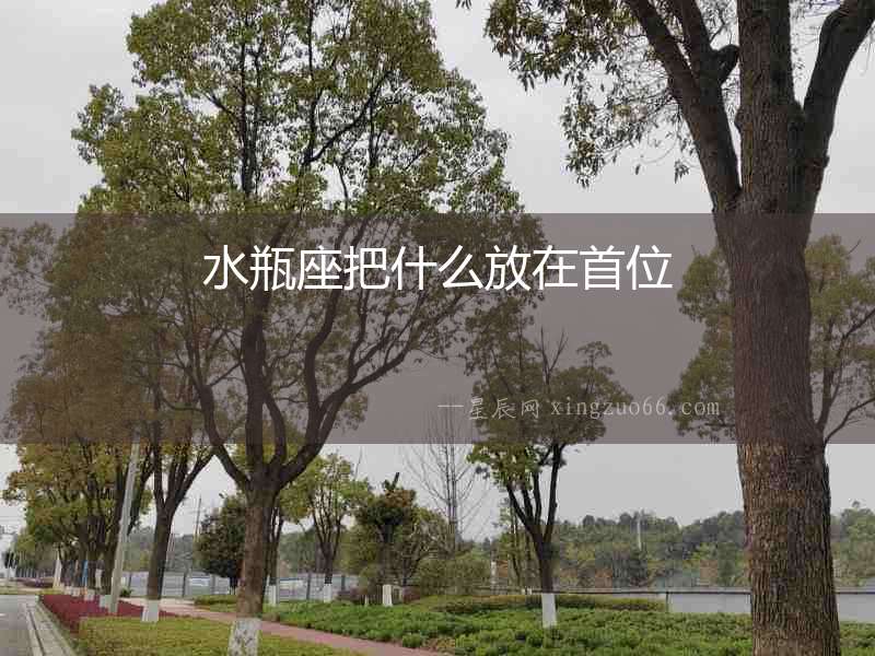 水瓶座把什么放在首位