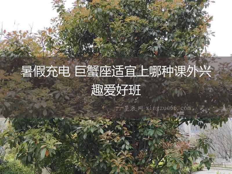 暑假充電 巨蟹座適宜上哪種課外興趣愛好班