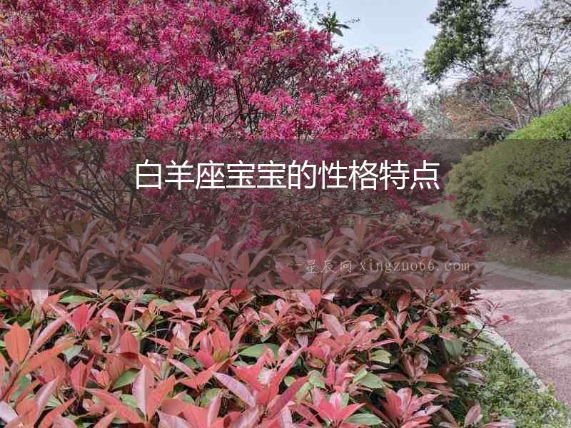 白羊座寶寶的性格特點