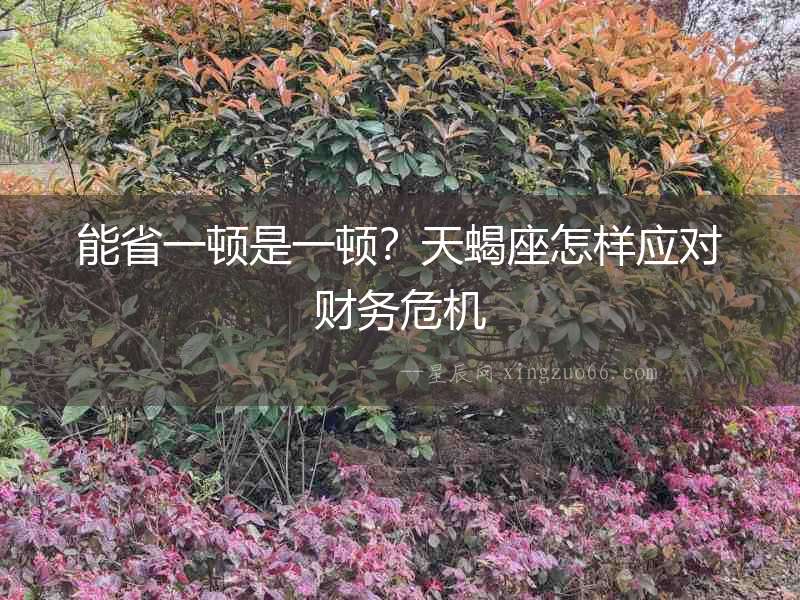 能省一頓是一頓？天蝎座怎樣應對財務危機