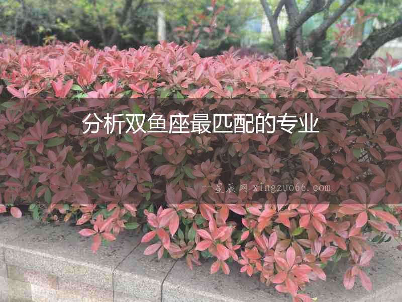 分析雙魚(yú)座最匹配的專(zhuān)業(yè)