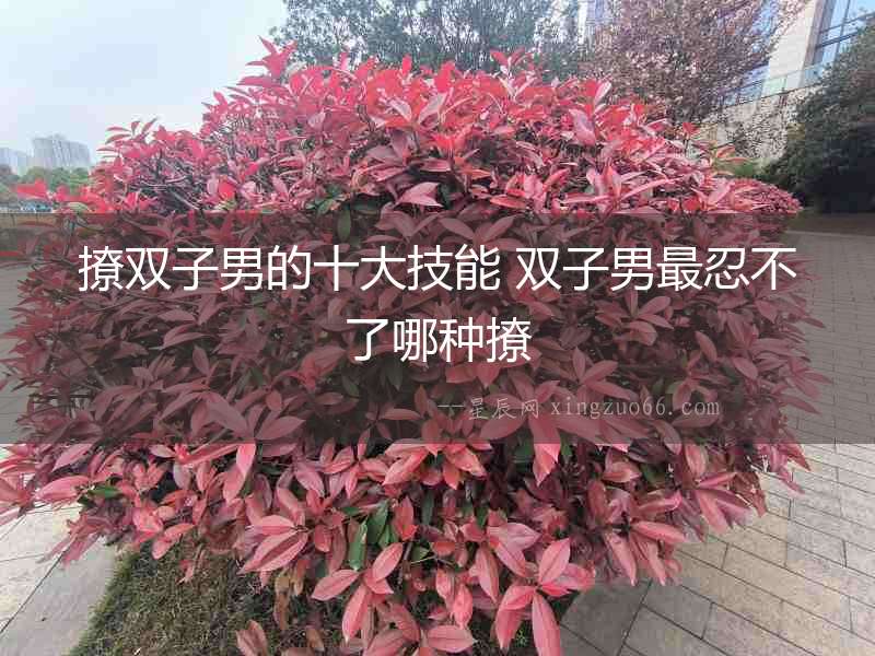撩雙子男的十大技能 雙子男最忍不了哪種撩