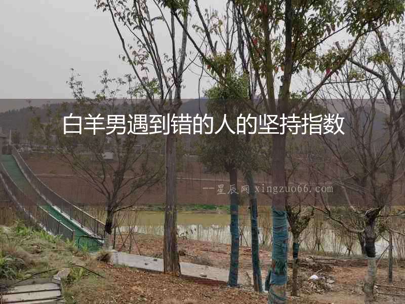 白羊男遇到錯的人的堅持指數(shù)