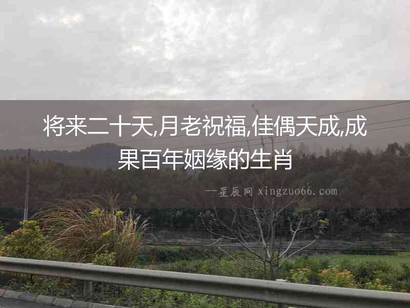 將來二十天,月老祝福,佳偶天成,成果百年姻緣的生肖