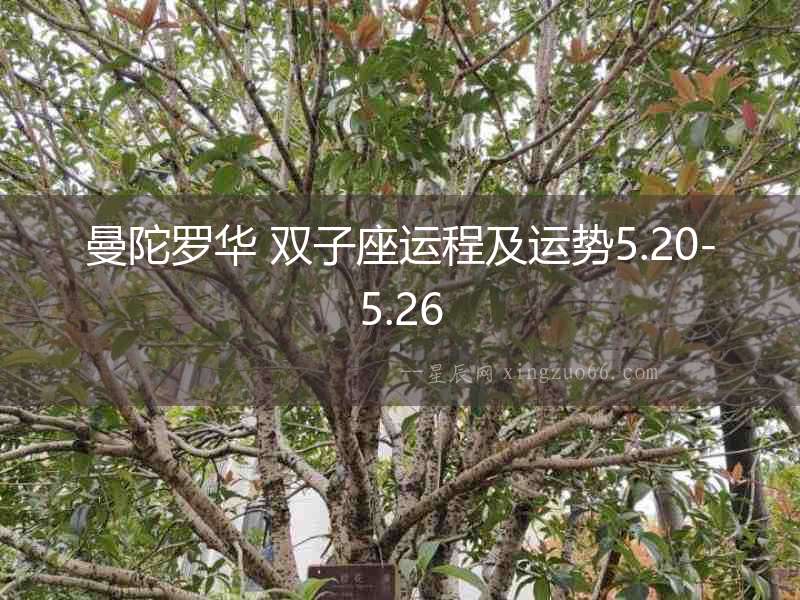 曼陀羅華 雙子座運程及運勢5.20-5.26