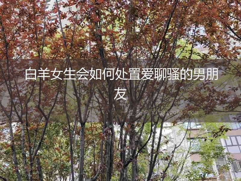白羊女生會如何處置愛聊騷的男朋友