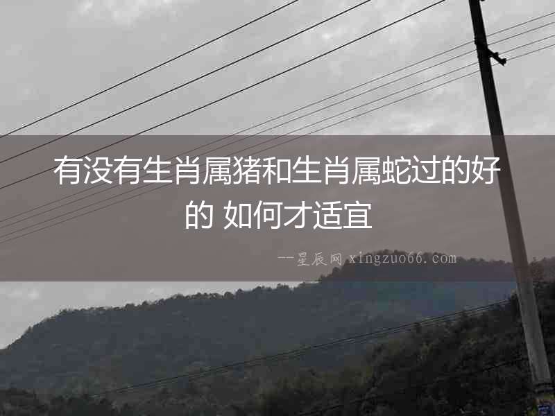 有沒有生肖屬豬和生肖屬蛇過(guò)的好的 如何才適宜