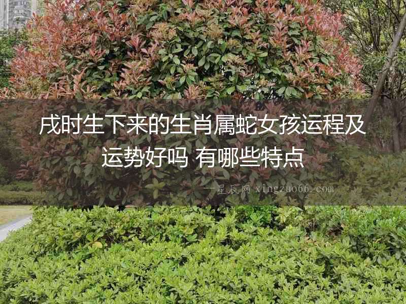 戌時生下來的生肖屬蛇女孩運程及運勢好嗎 有哪些特點