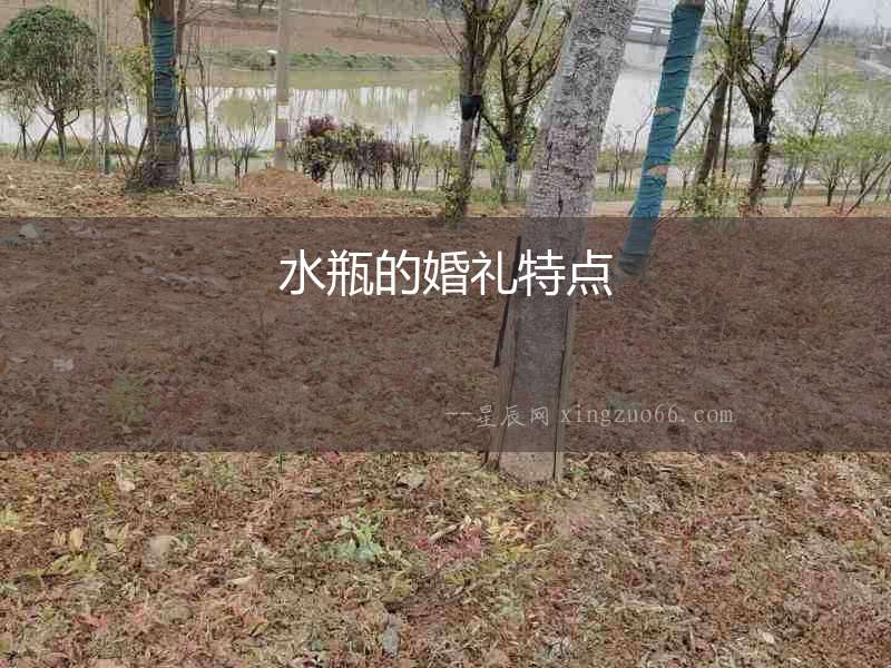 水瓶的婚禮特點