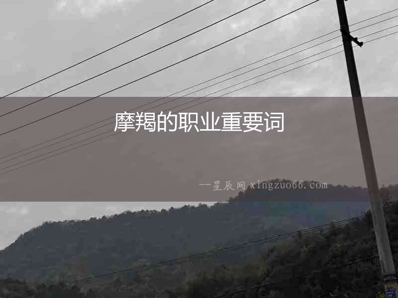 摩羯的職業重要詞