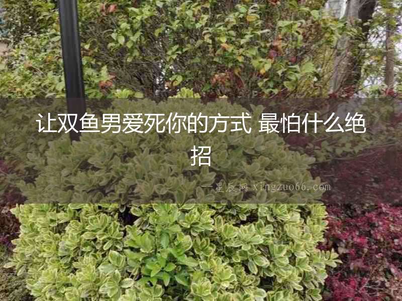 讓雙魚男愛死你的方式 最怕什么絕招