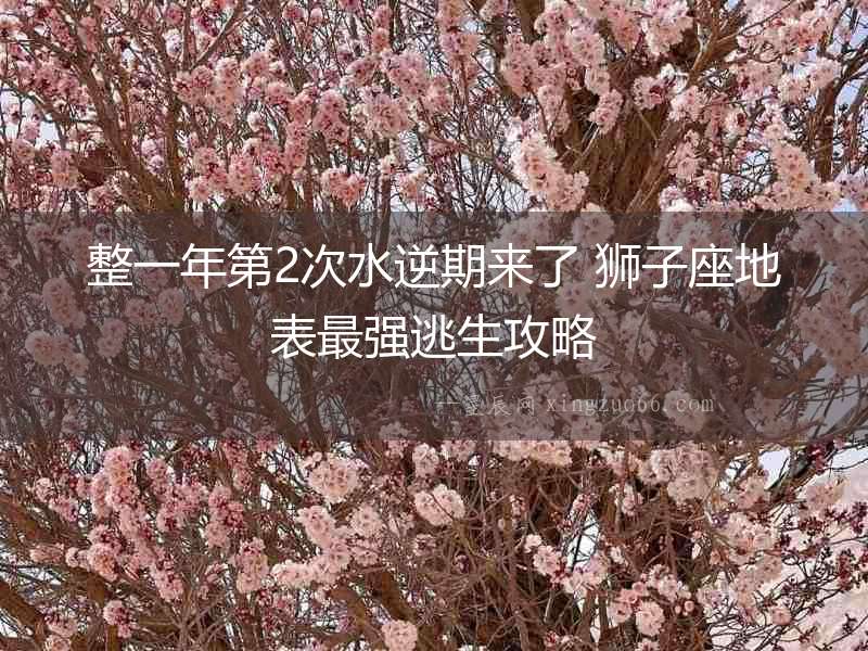整一年第2次水逆期來了 獅子座地表最強逃生攻略