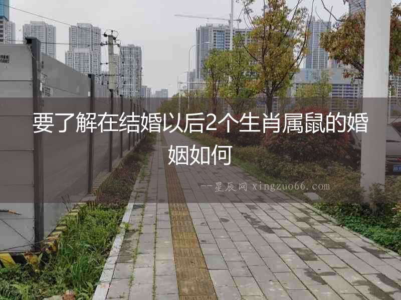 要了解在結婚以后2個生肖屬鼠的婚姻如何