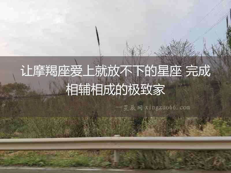 讓摩羯座愛上就放不下的星座 完成相輔相成的極致家