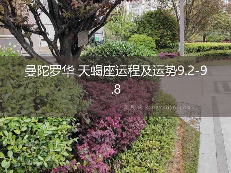 曼陀羅華 天蝎座運(yùn)程及運(yùn)勢(shì)9.2-9.8