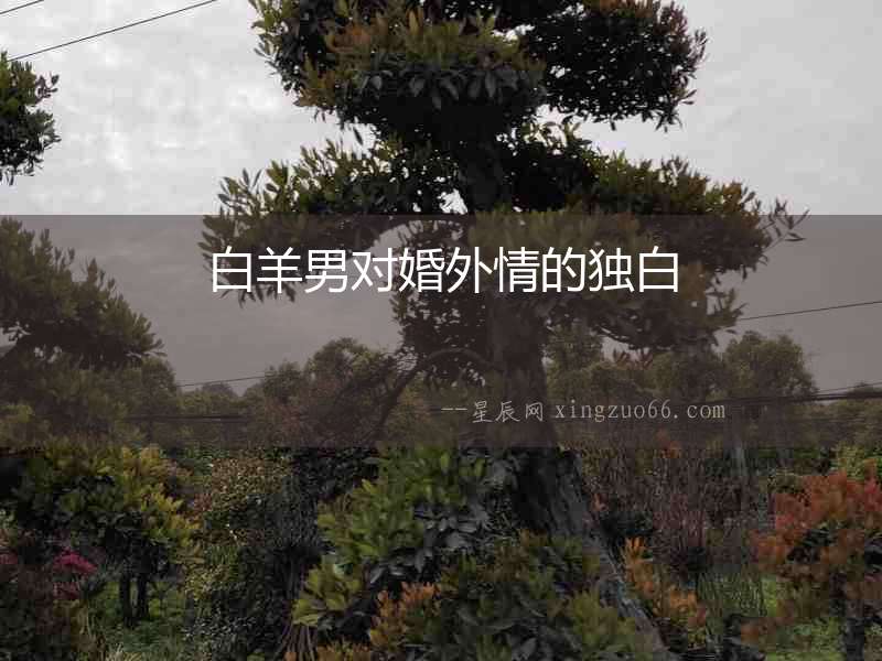 白羊男對(duì)婚外情的獨(dú)白