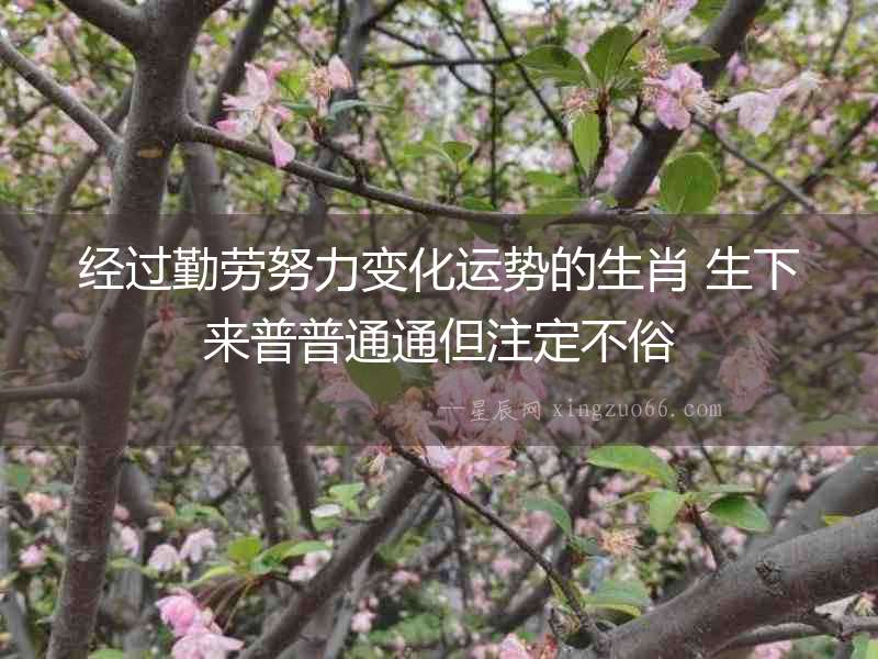 經過勤勞努力變化運勢的生肖 生下來普普通通但注定不俗