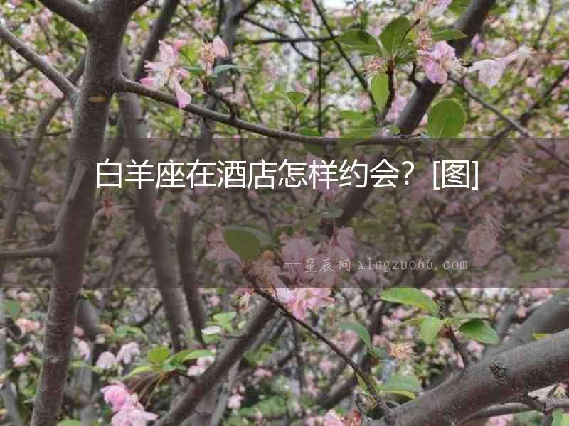 白羊座在酒店怎樣約會？[圖]
