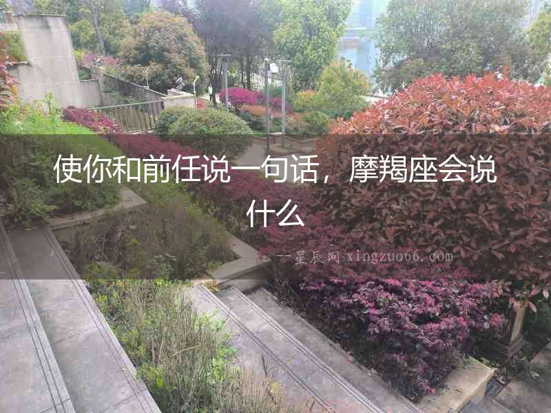 使你和前任說一句話，摩羯座會說什么