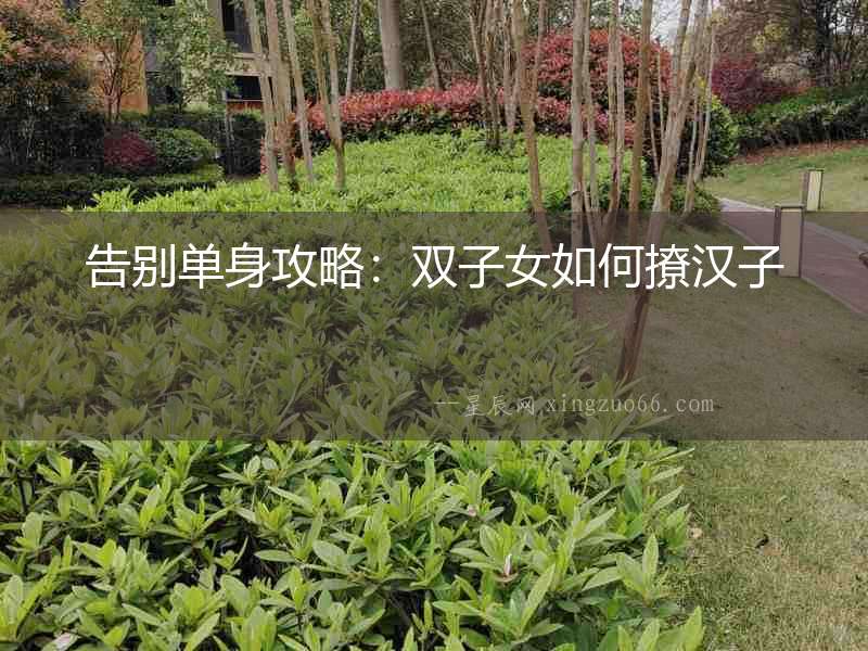 告別單身攻略：雙子女如何撩漢子