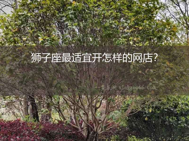 獅子座最適宜開怎樣的網(wǎng)店？
