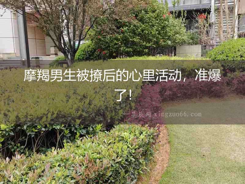 摩羯男生被撩后的心里活動，準(zhǔn)爆了！