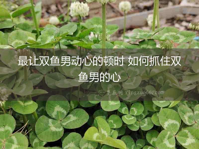 最讓雙魚男動心的頓時 如何抓住雙魚男的心