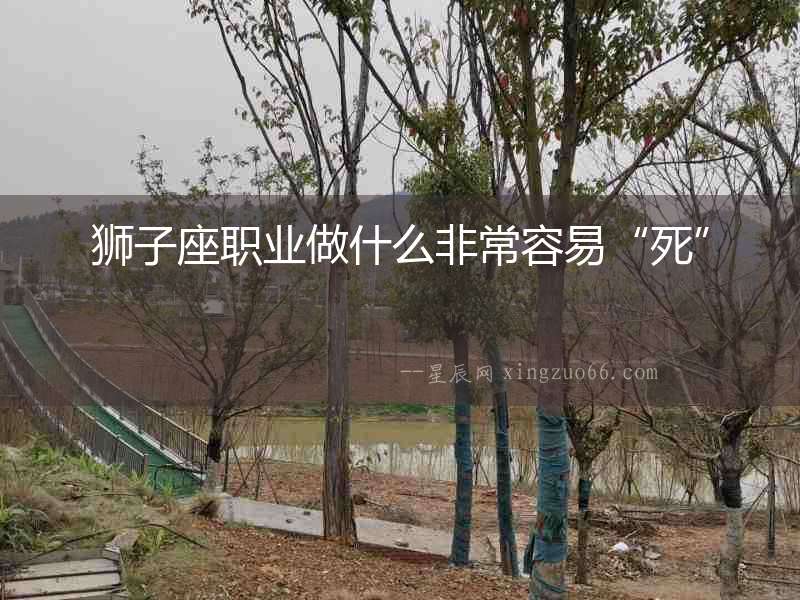獅子座職業做什么非常容易“死”