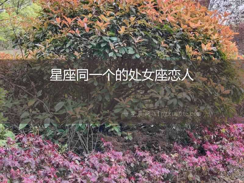 星座同一個的處女座戀人