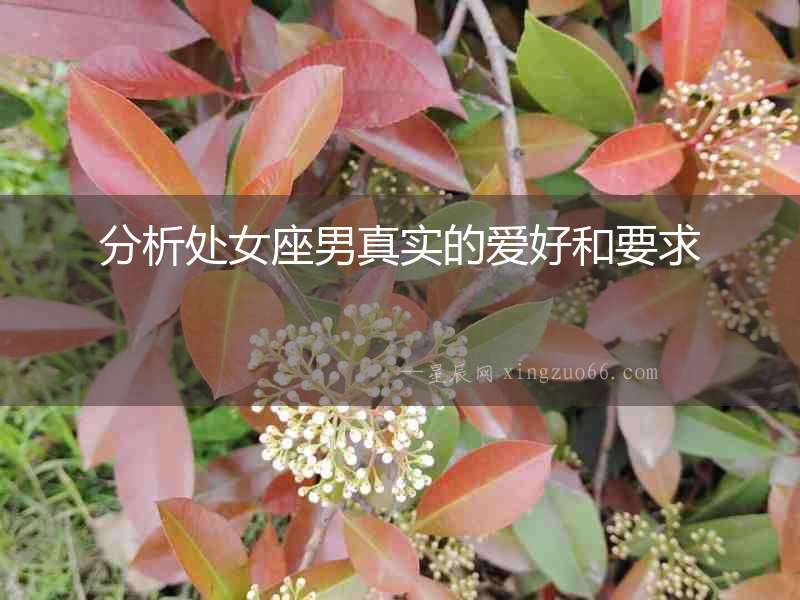 分析處女座男真實的愛好和要求