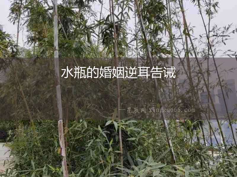 水瓶的婚姻逆耳告誡
