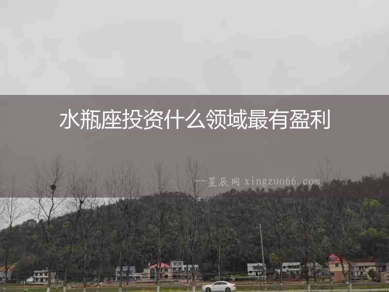 水瓶座投資什么領(lǐng)域最有盈利
